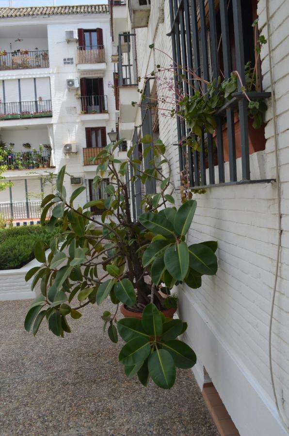 Apartamento La Casa de José Manuel Sevilla Exterior foto